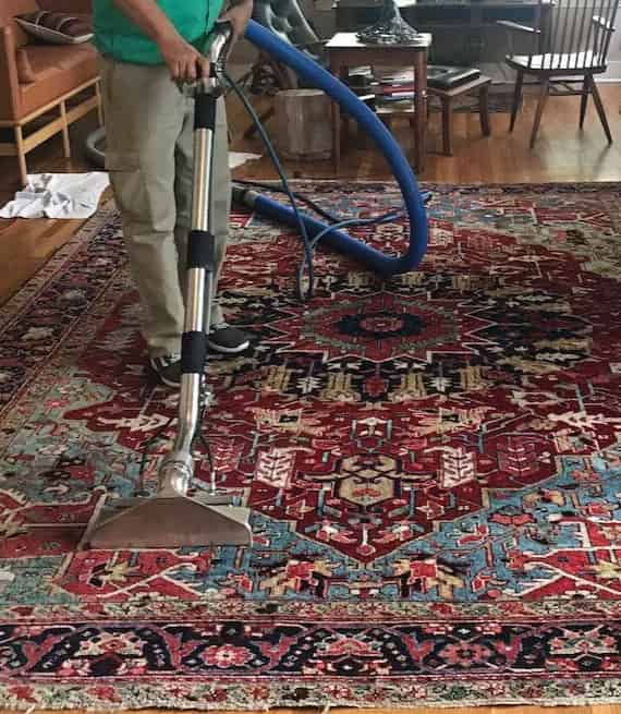 best rug cleaning service in sydney