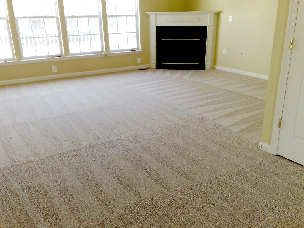 Steam Carpet Cleaning