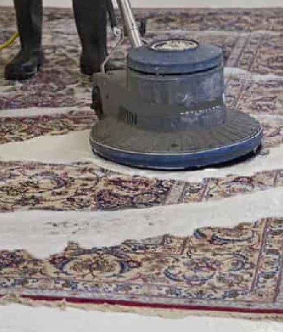 rug cleaning services