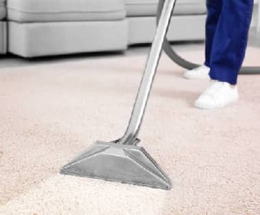 Professional Carpet Cleaning