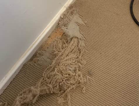 Residential and Commercial Carpet Repair Sydney