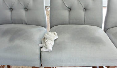 Upholstery Stain Removal