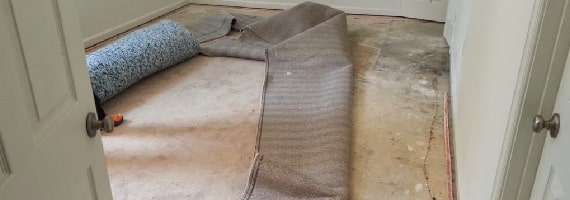 Water Damage Carpet Repair Blacktown